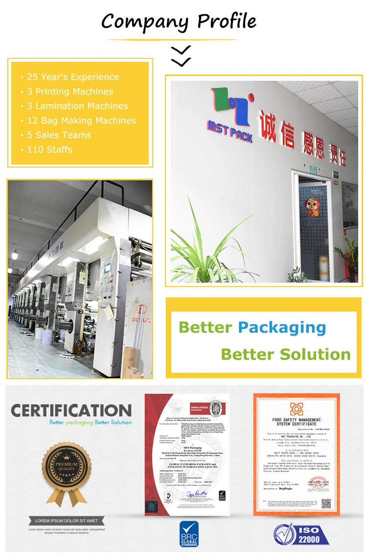 Whey Protein Powder Packaging Biodegradable Custom Printed Bean Bag Factory China